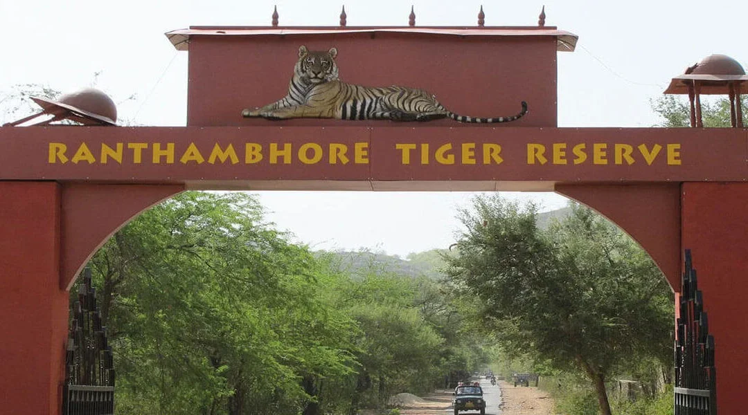 Top 15 cities near ranthambore!